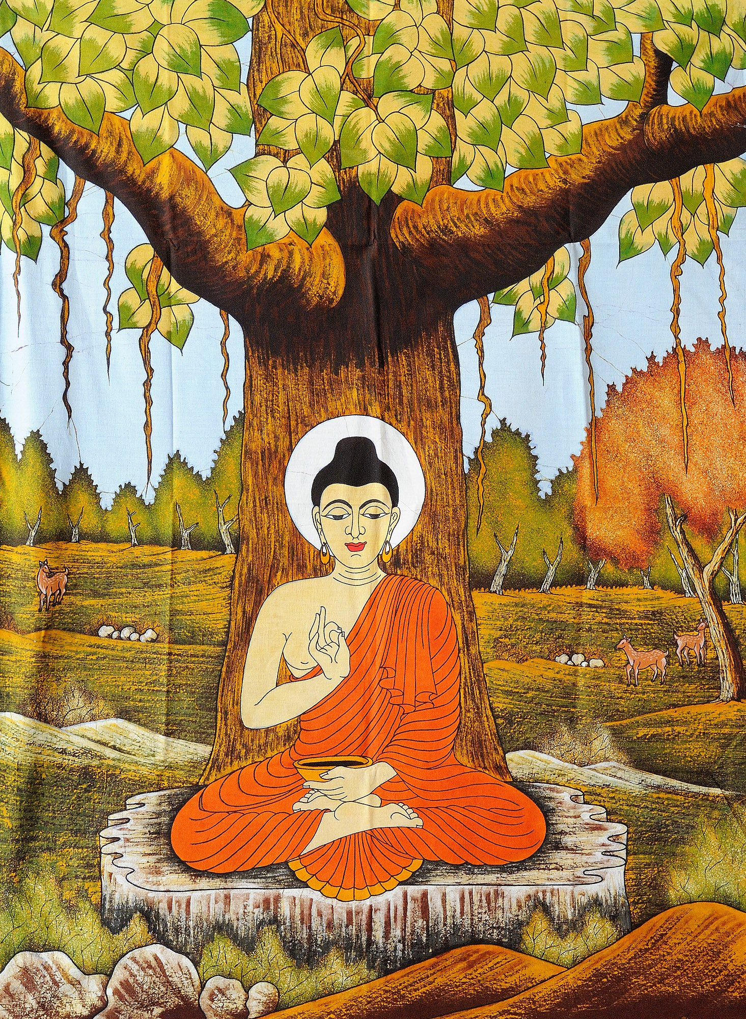 Ý nghĩa của lá cây Bồ Đề trong Phật Giáo