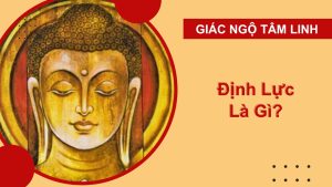 dinh luc la gi 1
