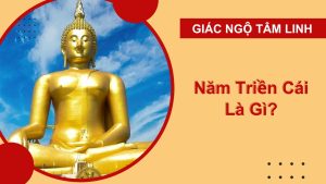Năm Triền Cái là gì? Cách đối trị và ngăn chặn 5 Triền Cái