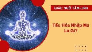 tau hoa nhap ma la gi 1