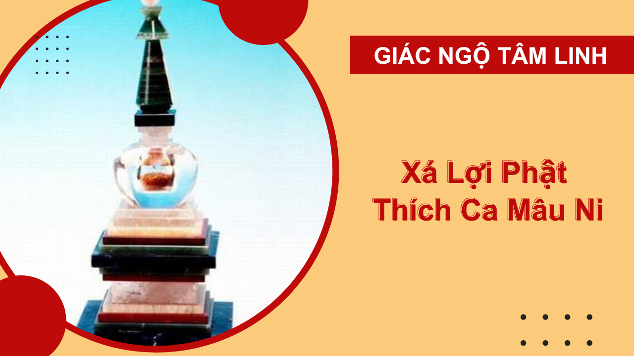 Xá lợi Phật Thích Ca Mâu Ni - Thánh vật quý giá và ý nghĩa tâm linh 1 Xá lợi Phật Thích Ca Mâu Ni - Thánh vật quý giá và ý nghĩa tâm linh