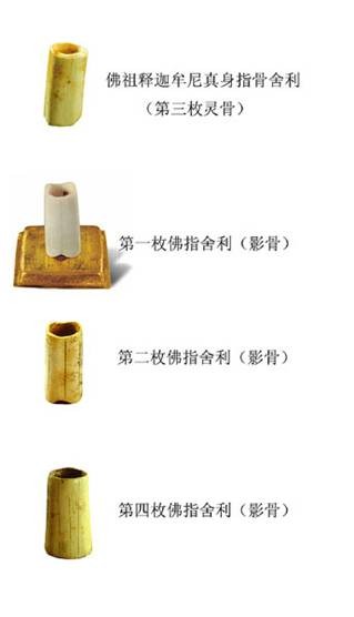 Xá Lợi xương ngón tay của đức Phật Thích Ca Mâu Ni Xá Lợi xương ngón tay của đức Phật Thích Ca Mâu Ni